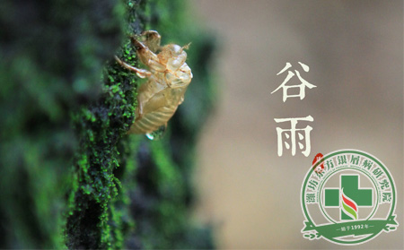 谷雨季节就要到 银屑病护理要做可以